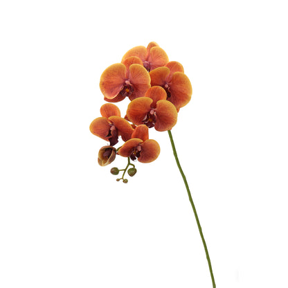 Real-Touch Faux Phalaenopsis Orchid Spray - 37.4"