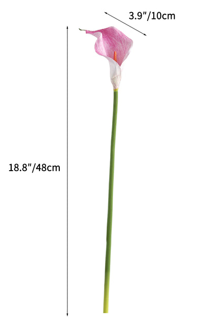 Artificial Calla Lily in Soft Tones-18.8"