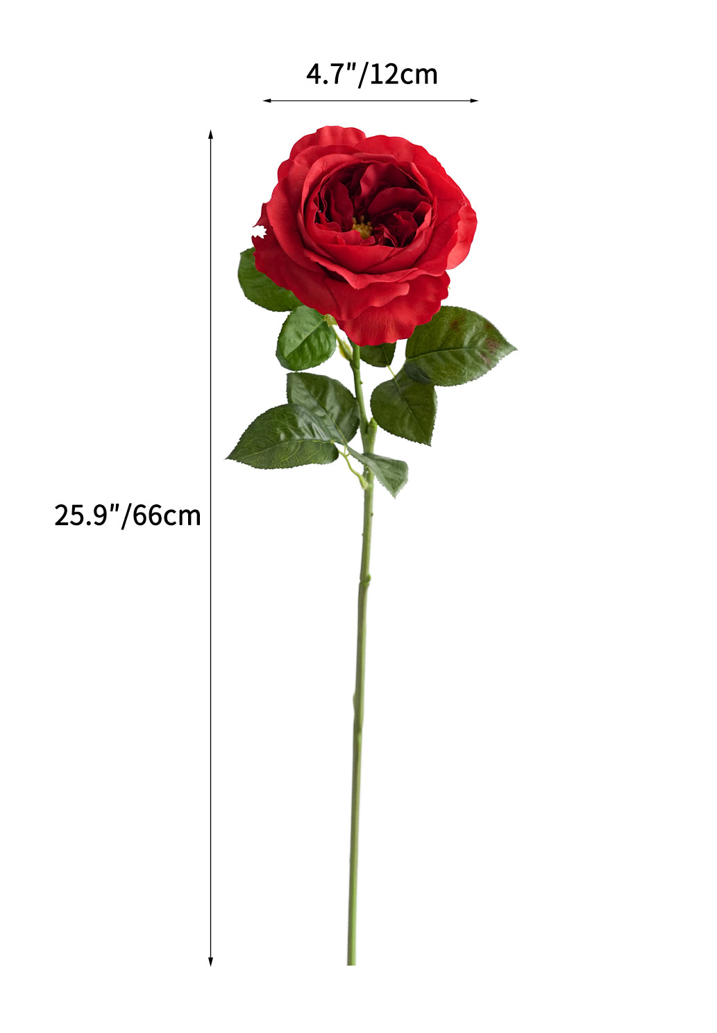 Artificial Austin roses with a realistic touch- 25.9"