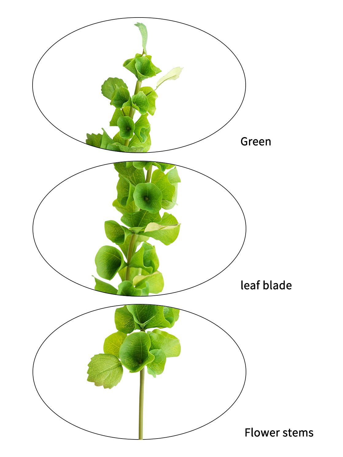 Small-sized artificial green plants with shell-shaped leaves - 28.7"