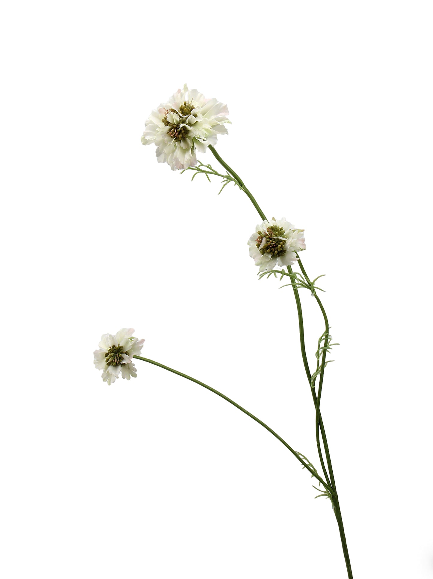Faux Multi-Head Scabiosa Spray - 31.1"