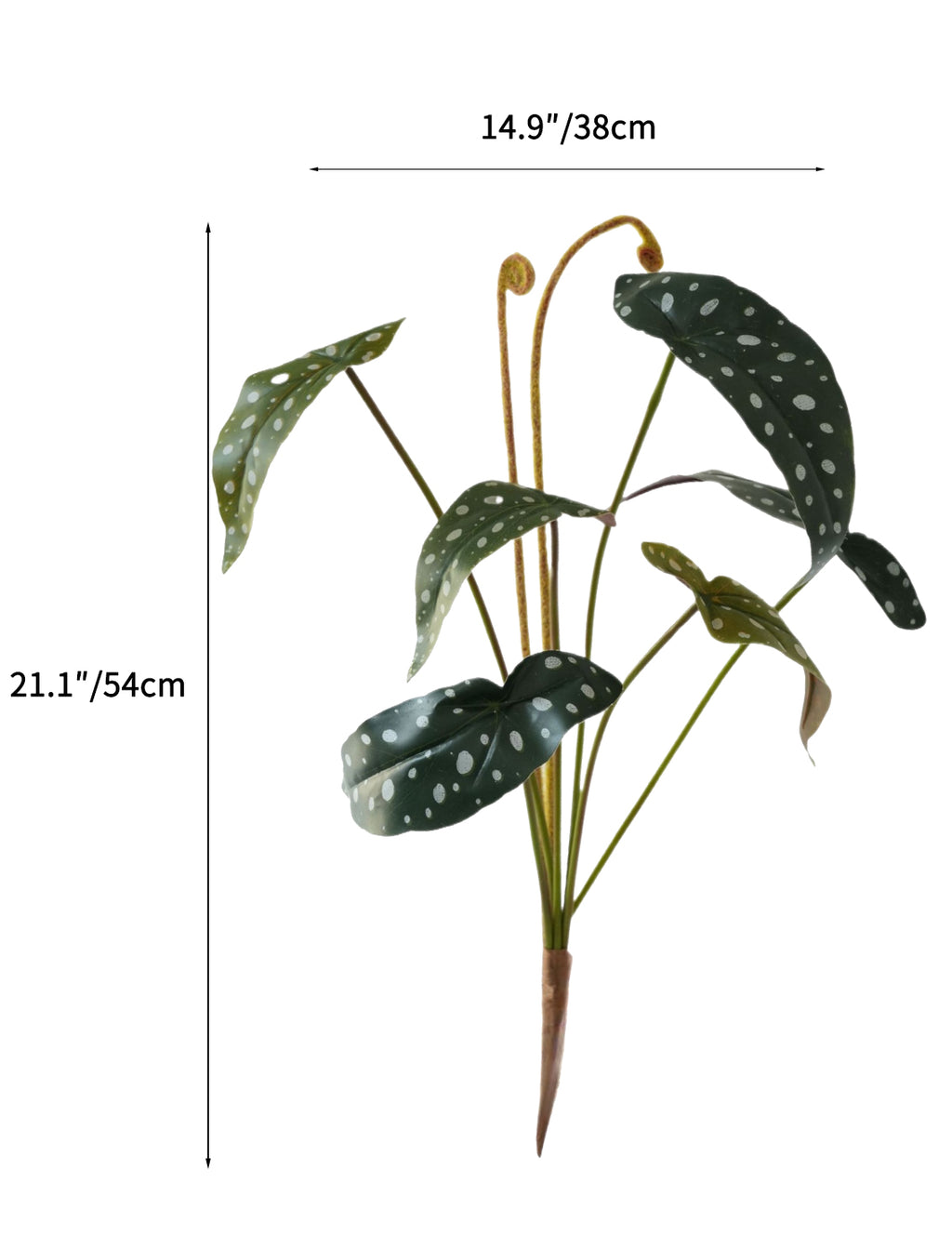 Fake Polka Dot Begonia Artificial Trout Begonia -21.2"