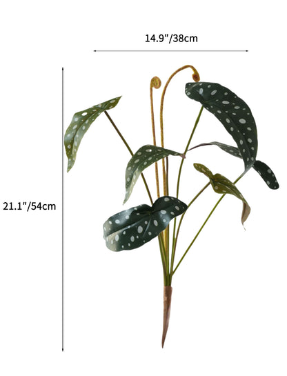 Fake Polka Dot Begonia Artificial Trout Begonia -21.2"