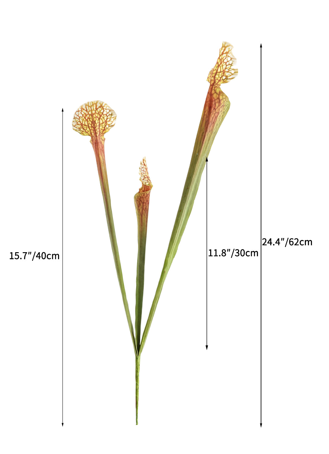 Real Touch Artificial Sarracenia -24.4"