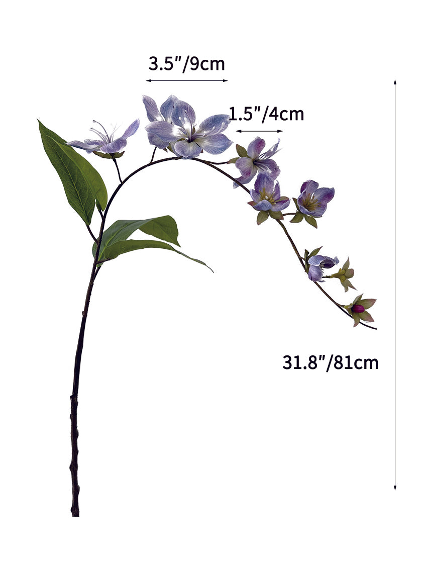 Wallich Glorybower - 31.89"