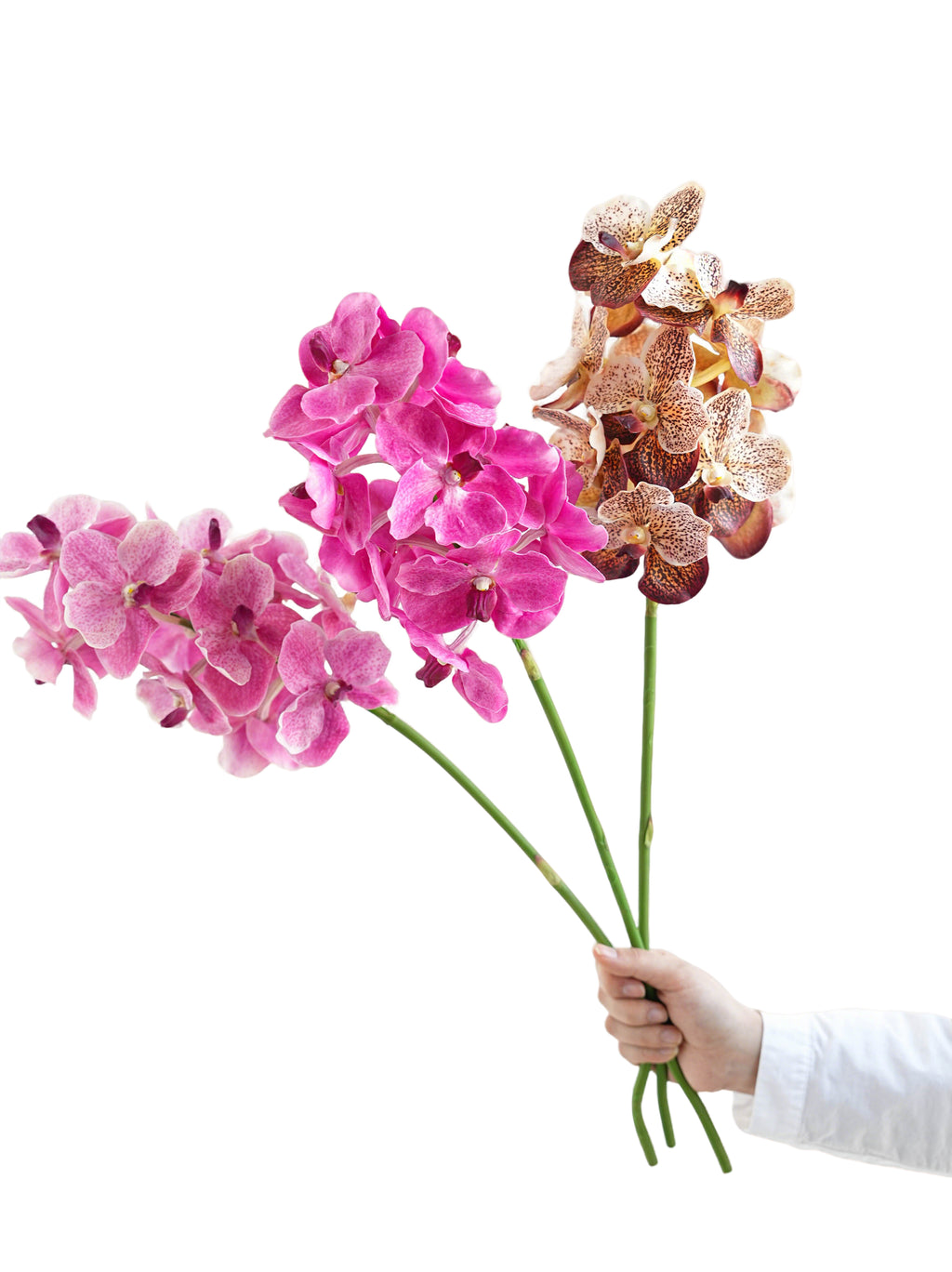 High-end Artificial Vanda Orchids -25.5"