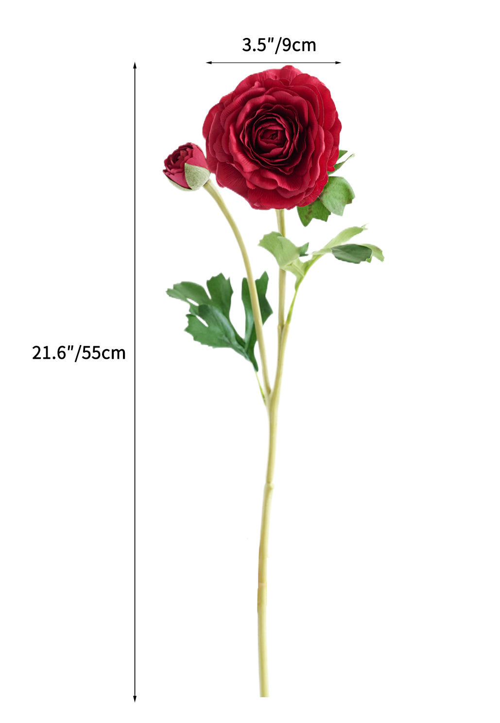 High - end Real Touch Faux Ranunculus - 21.6"