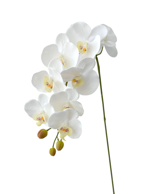 Blooming Artificial Phalaenopsis Orchids-38"