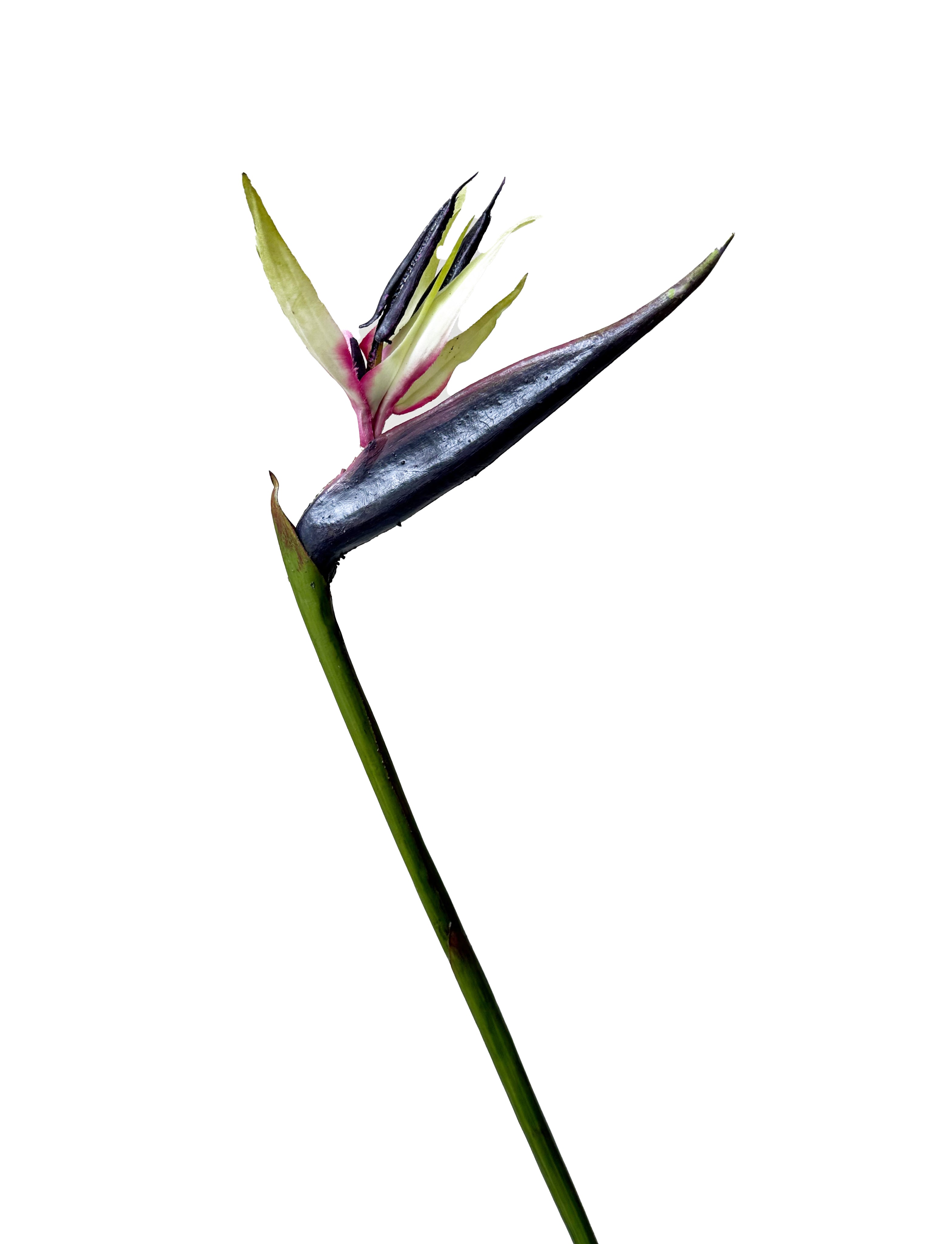 High-end Artificial Birds of Paradise Flowers -34.2"