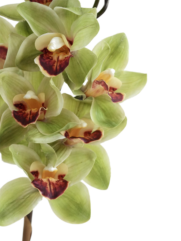 Large Natural Touch Artificial Cymbidium Orchids -30.3"