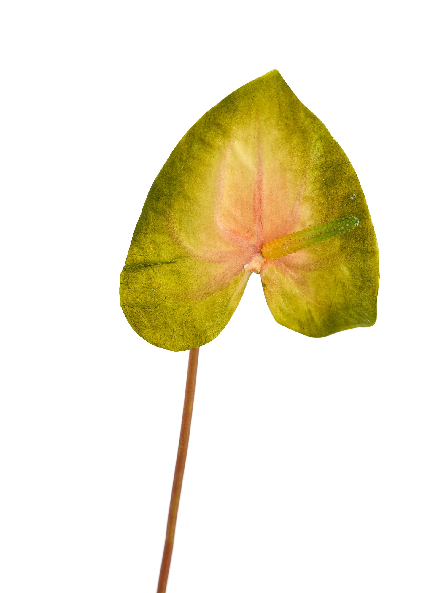 High-end Artificial Tropical Anthurium Flowers- 26.7"