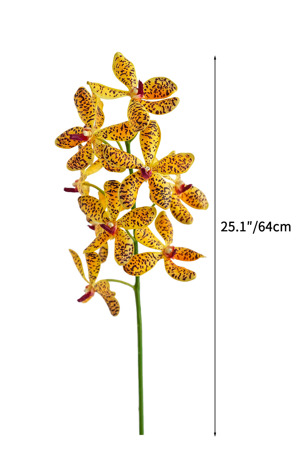 Lifelike Artificial Vanda Orchids -25.1"