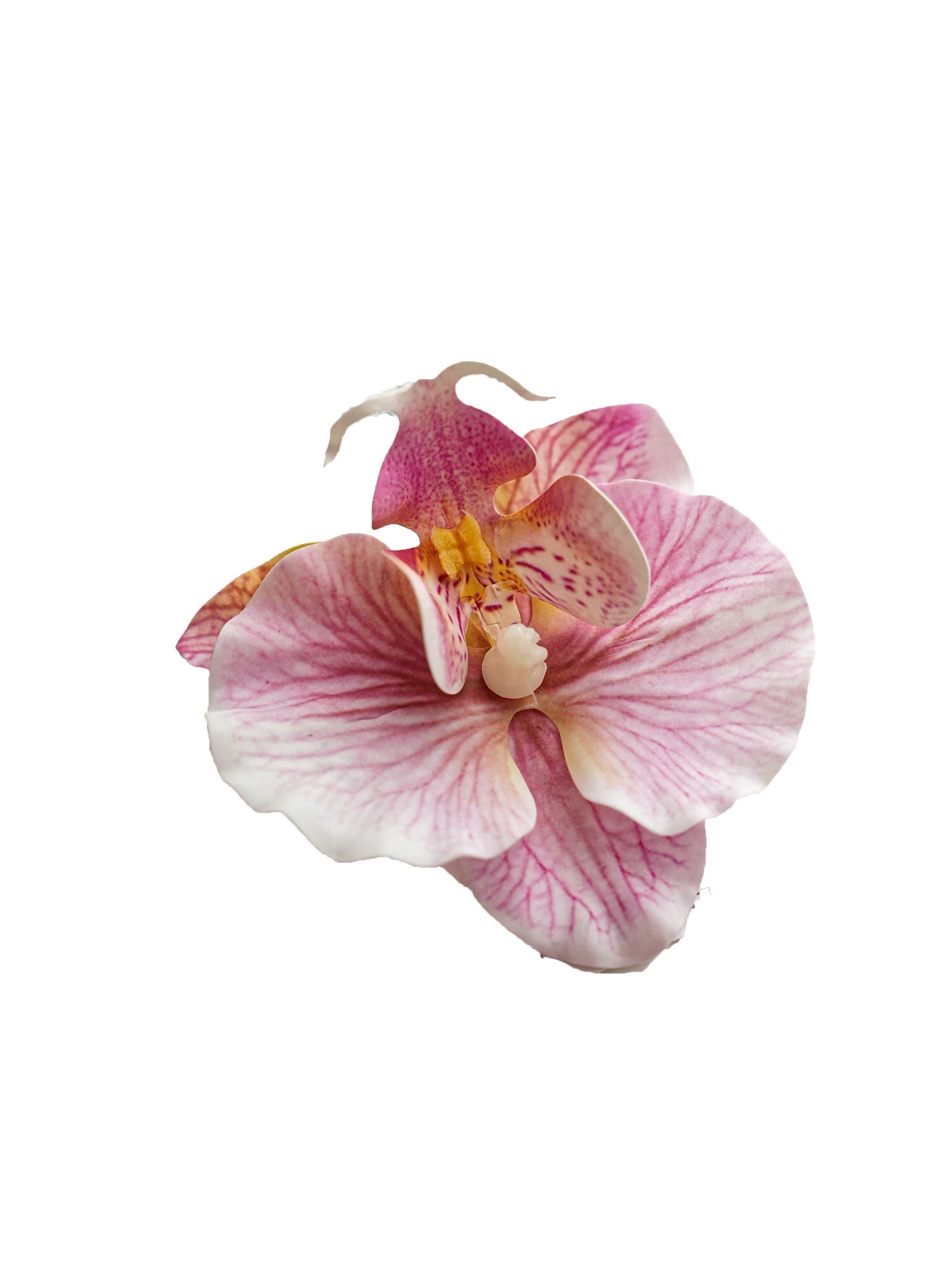 Fake Phalaenopsis petal in creamy color -3.34"
