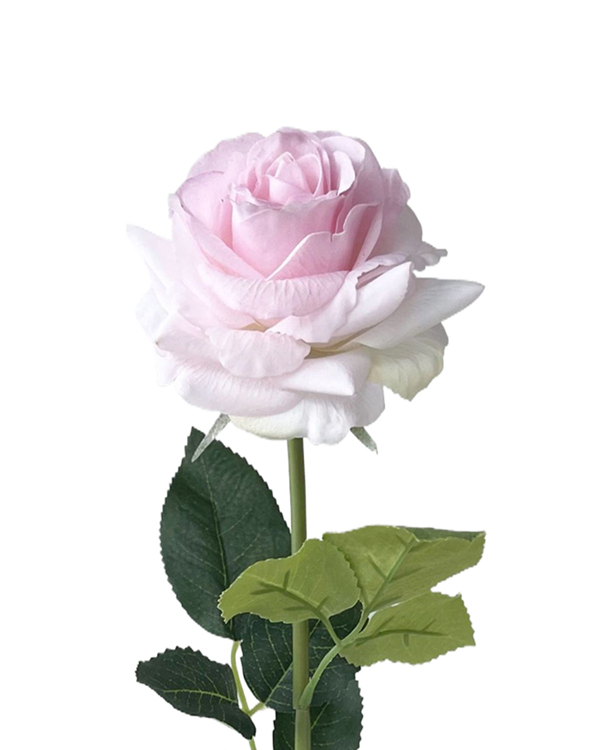 Premium Real Touch Roses - 17.3"