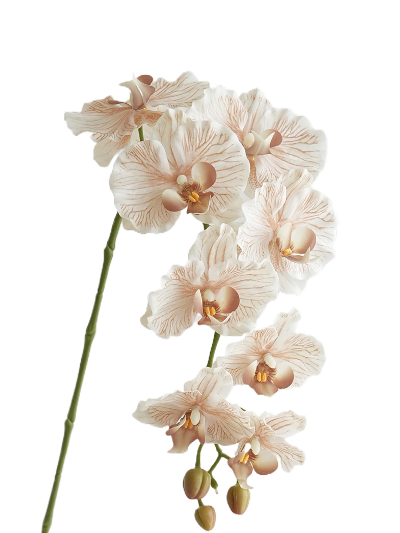 Colorful Artificial Phalaenopsis Orchids-38.5"