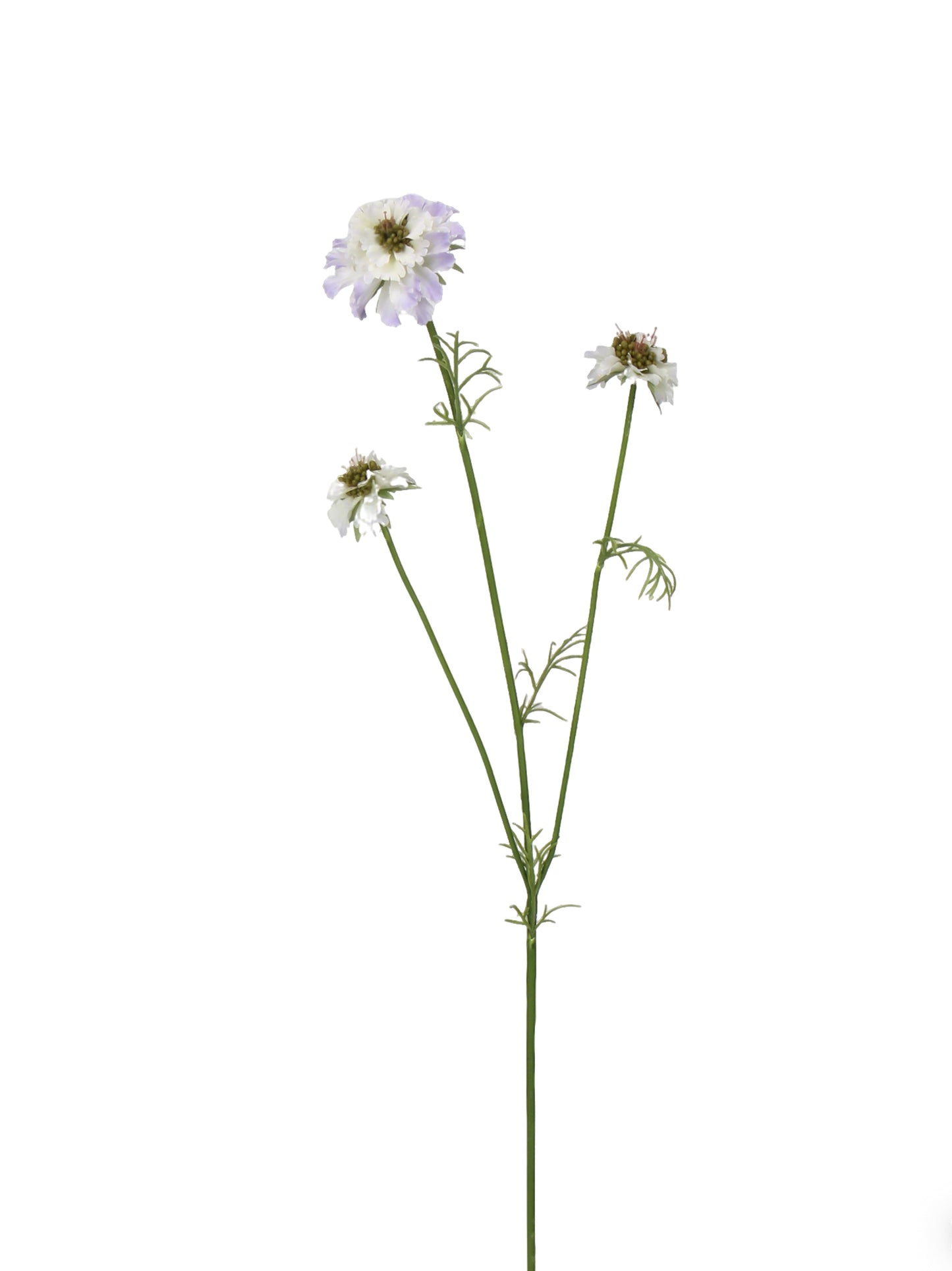 Faux Multi-Head Scabiosa Spray - 31.1"
