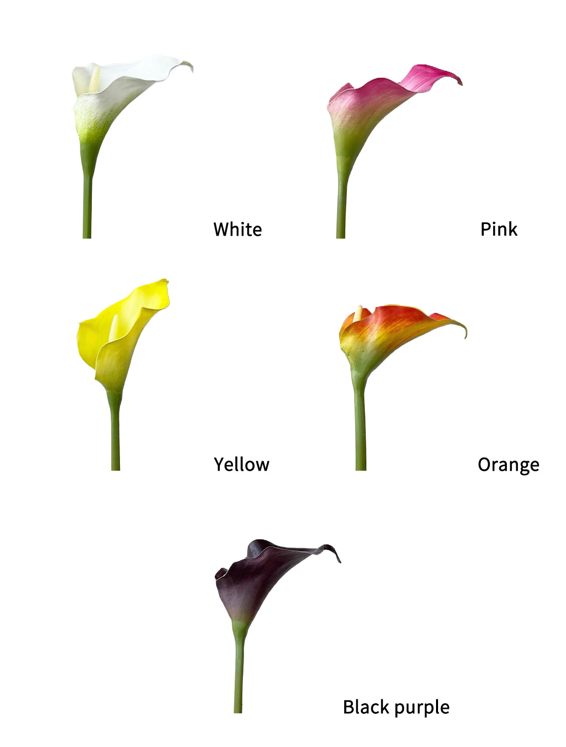 Faux Calla Lily-21.6"