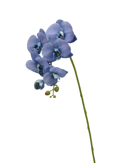 Real-Touch Faux Phalaenopsis Orchid Spray - 37.4"