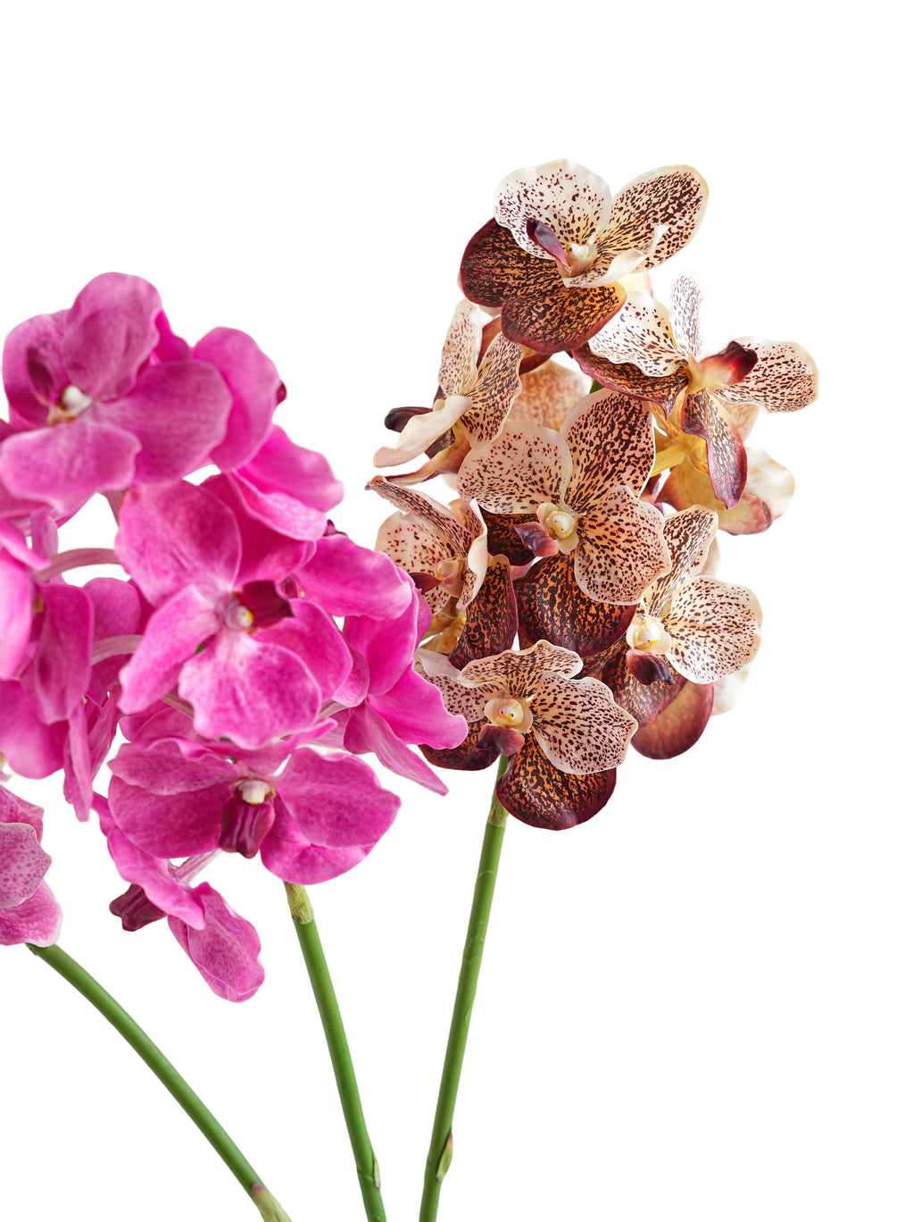 High-end Artificial Vanda Orchids -25.5"