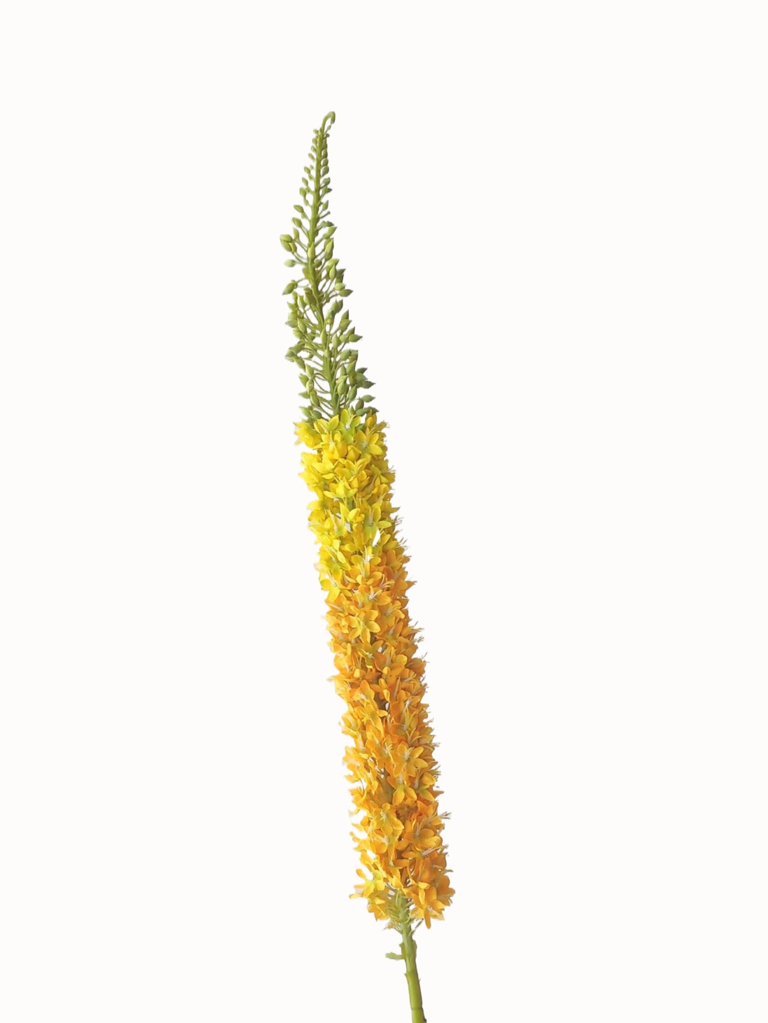High-end Artificial Foxtail Flowers with Large Branches - 55.5"