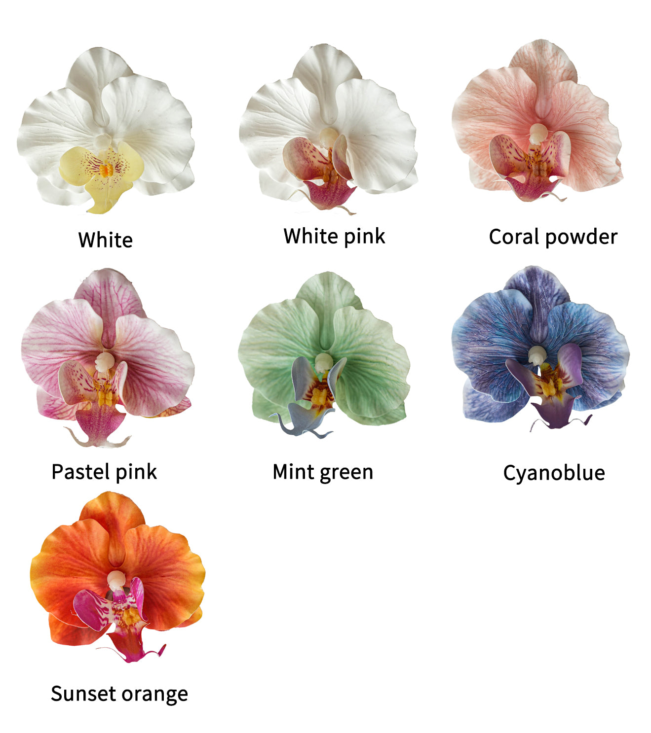 Fake Phalaenopsis petal in creamy color -3.34"