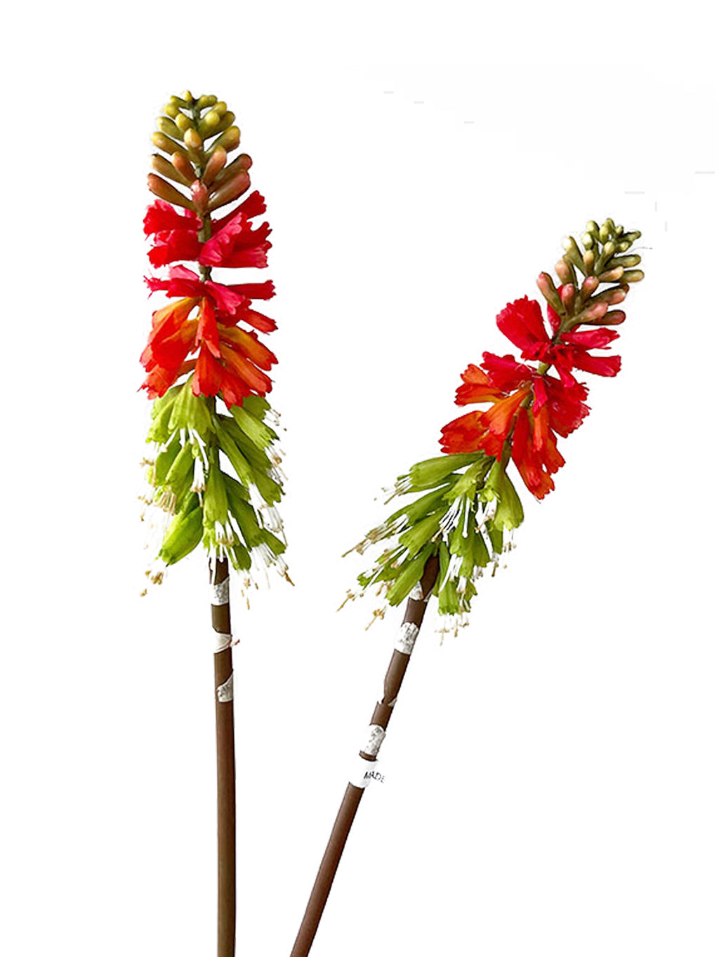 Gorgeous Artificial Torch Lily-27.1"