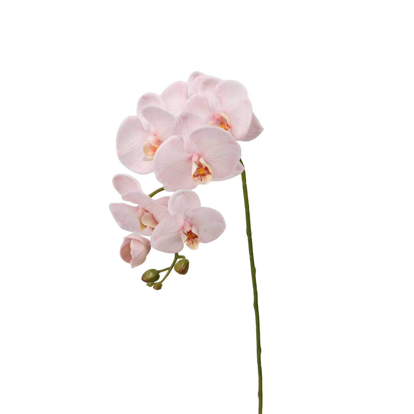 Real-Touch Faux Phalaenopsis Orchid Spray - 37.4"