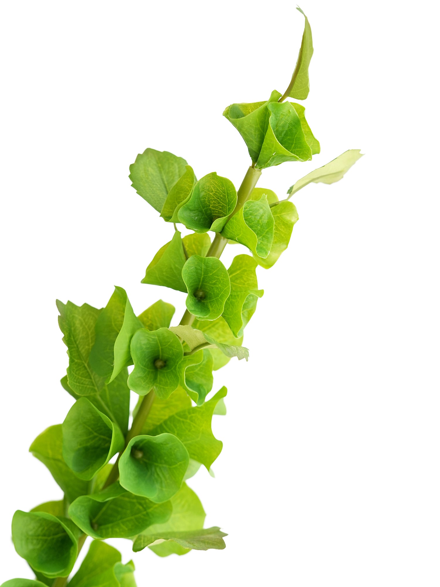 Small-sized artificial green plants with shell-shaped leaves - 28.7"