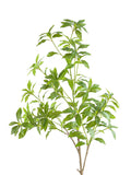 Tall Artificial Pieris japonica -49.2"