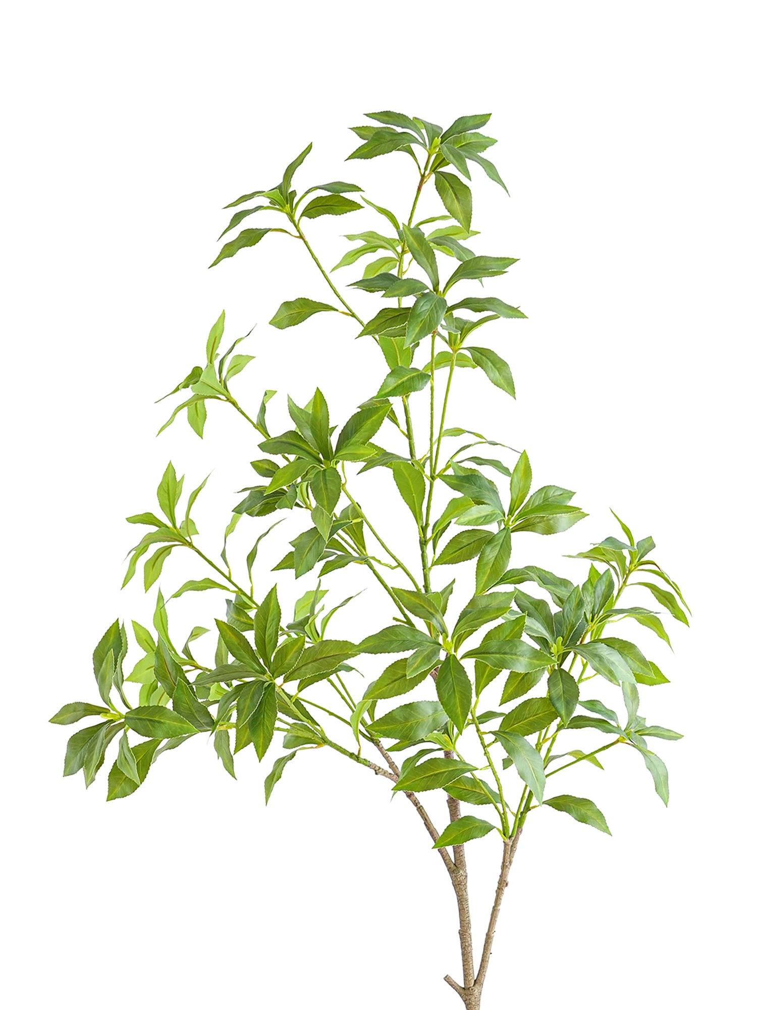 Tall Artificial Pieris japonica -49.2"