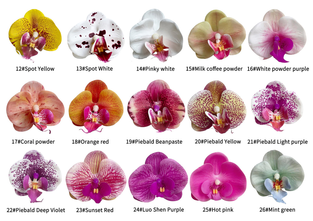 Petals of the simulated Phalaenopsis orchid -3.3"