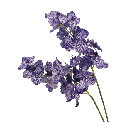 High‑Quality Real‑Touch Artificial Vanda Multi‑Blossom Stem‑33.8"