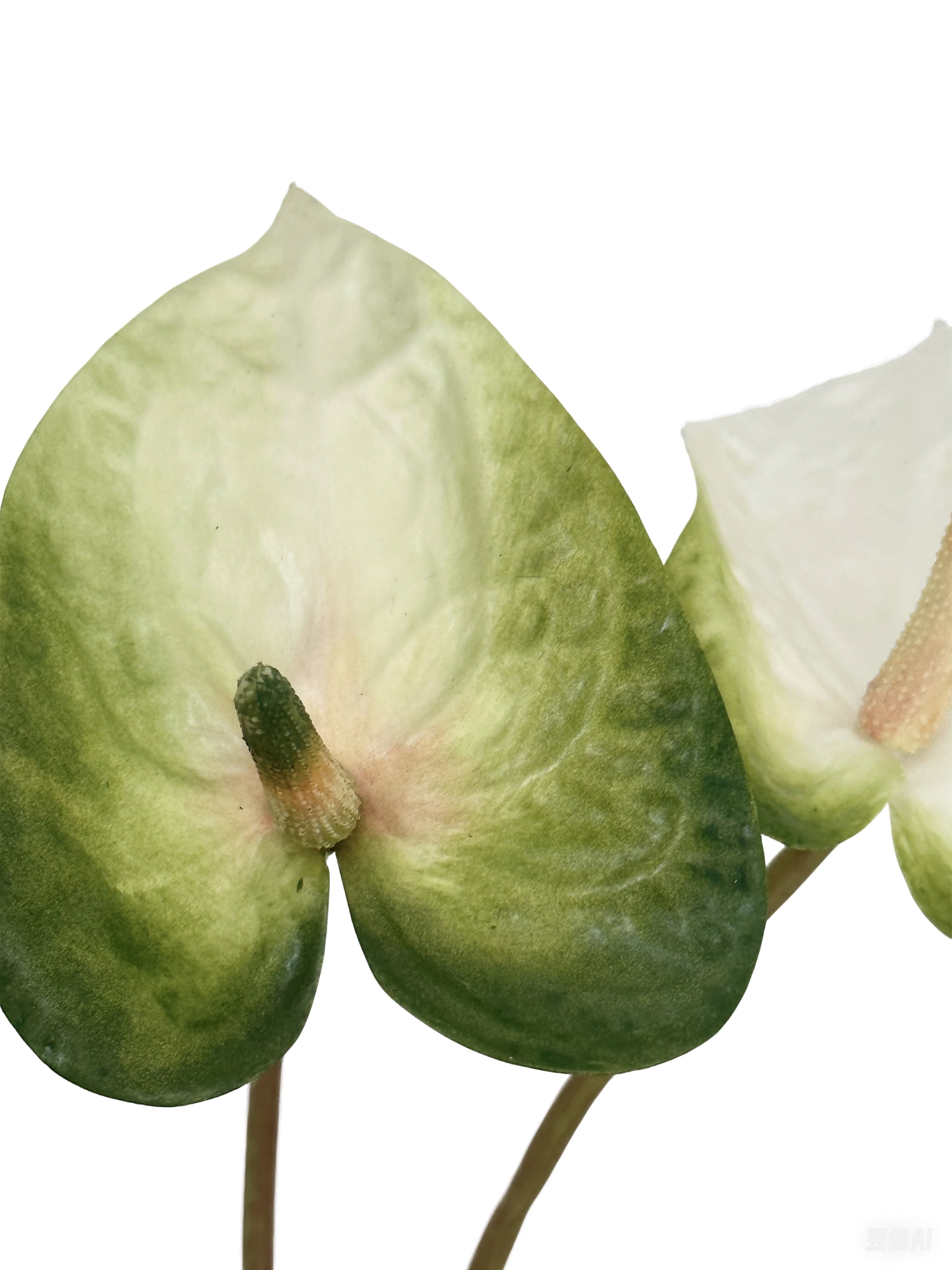 Luxurious Quality Artificial Tropical Anthurium- 23.6"