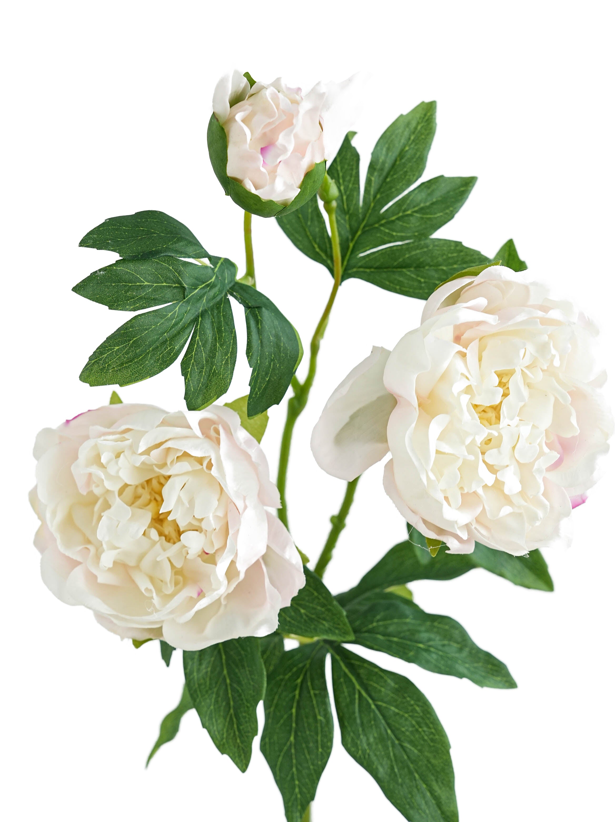 Cream Colors Faux Real Touch Peony Flower -31.8"