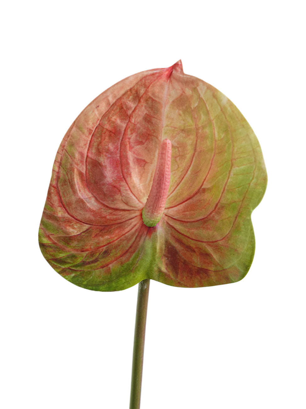 Small-sized artificial Anthurium flowers- 22.4"
