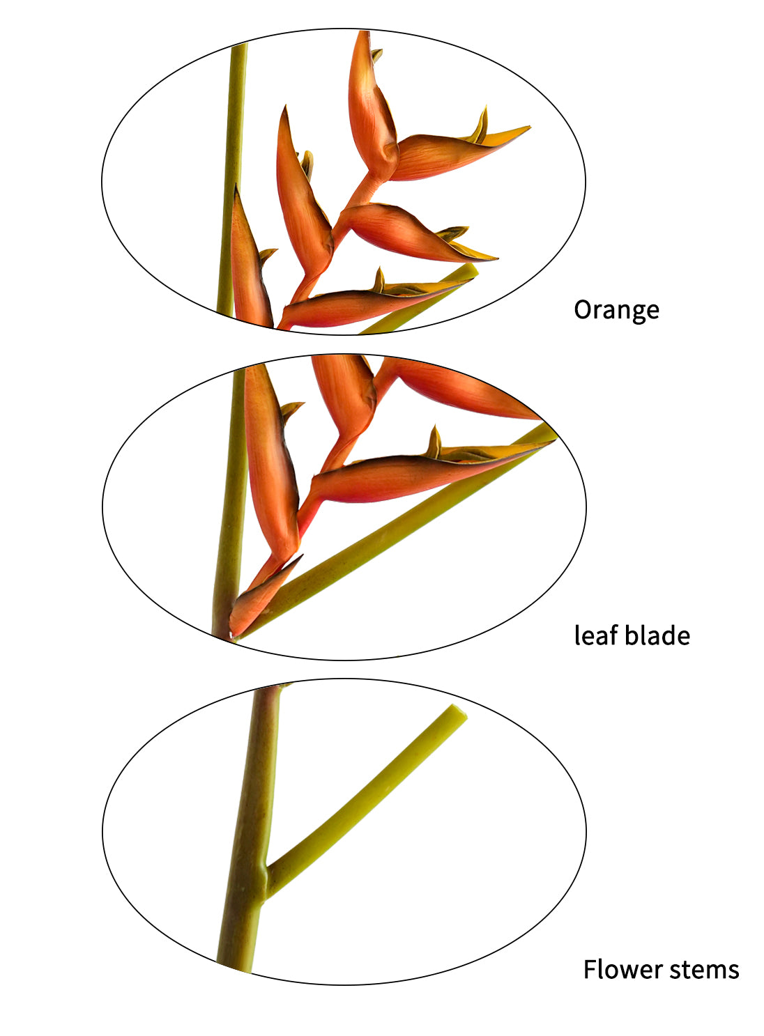 High - end artificial orange heliconias - 35.4"