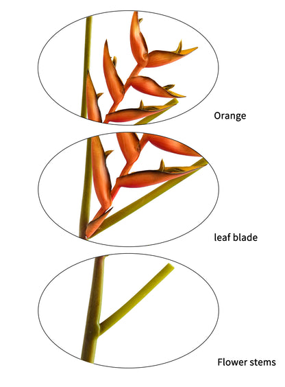 High - end artificial orange heliconias - 35.4"
