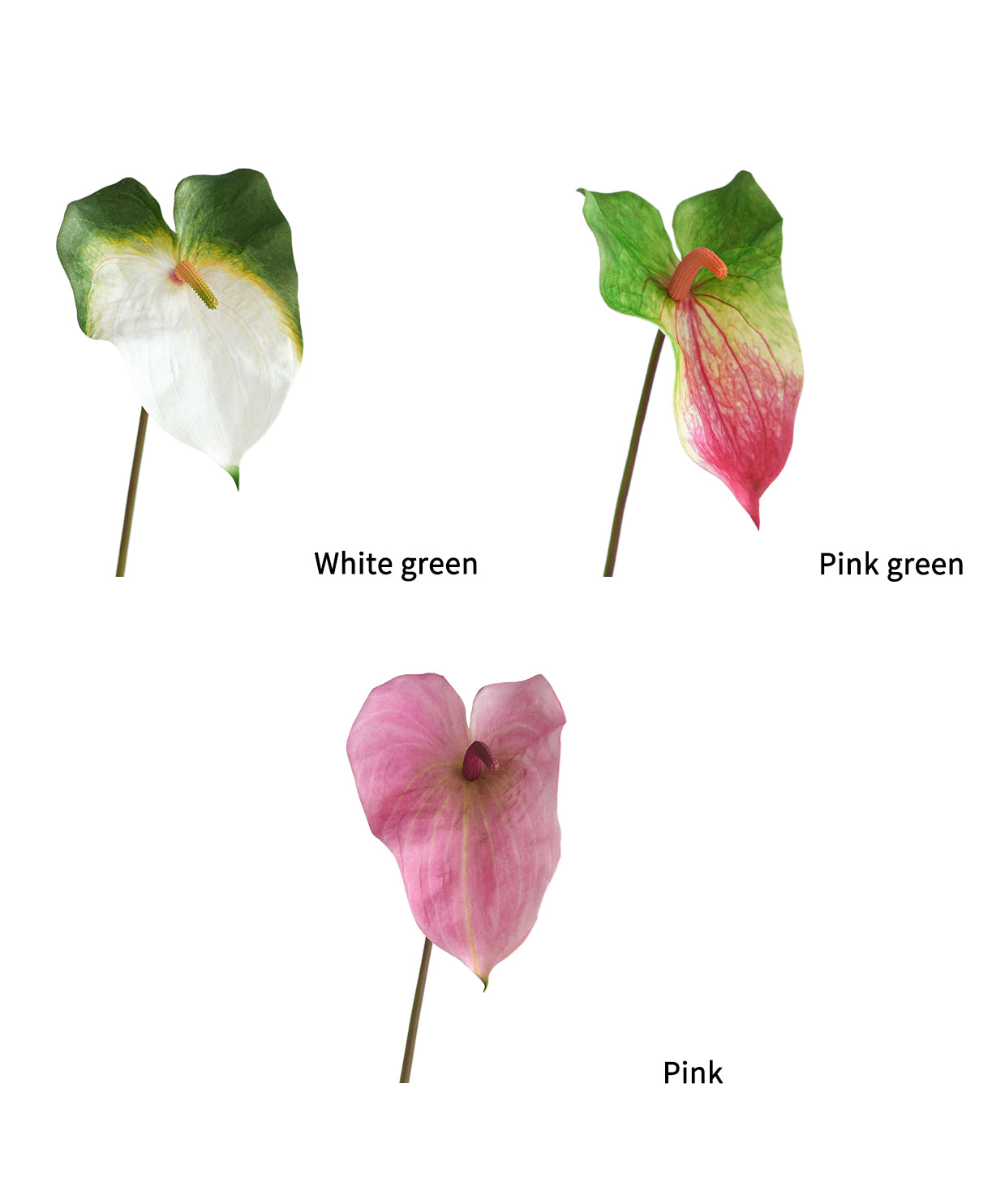 High-end Large-sized Artificial Green Anthurium Flowers- 26.7"