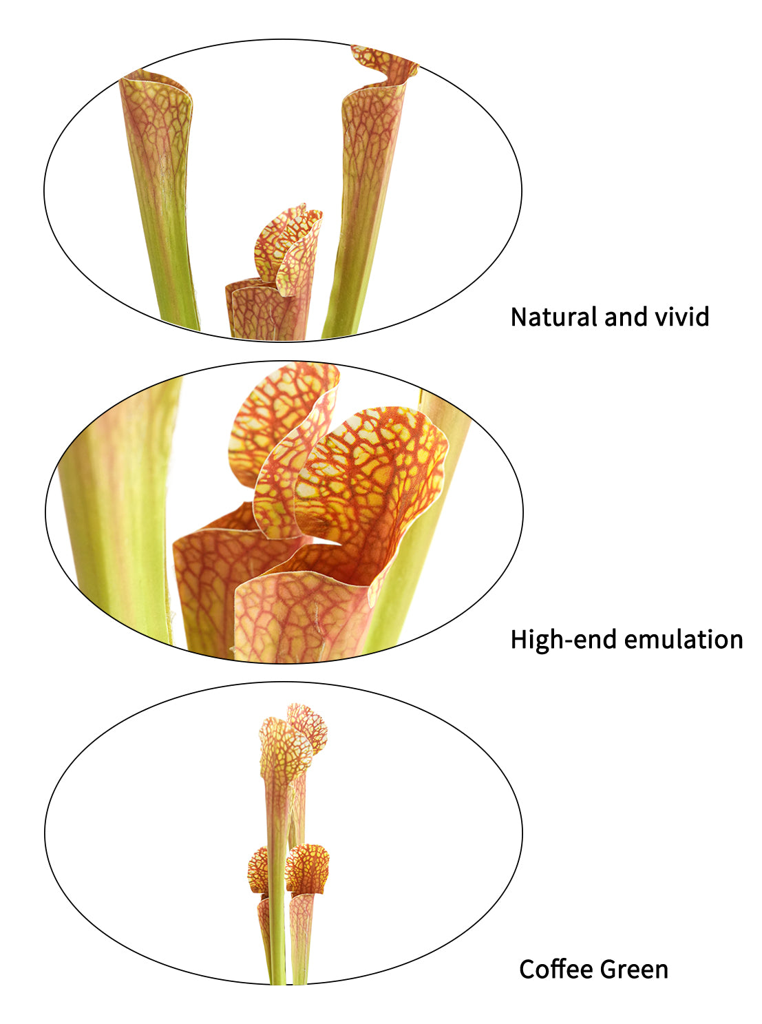 Artificial Sarracenia  -17.7"