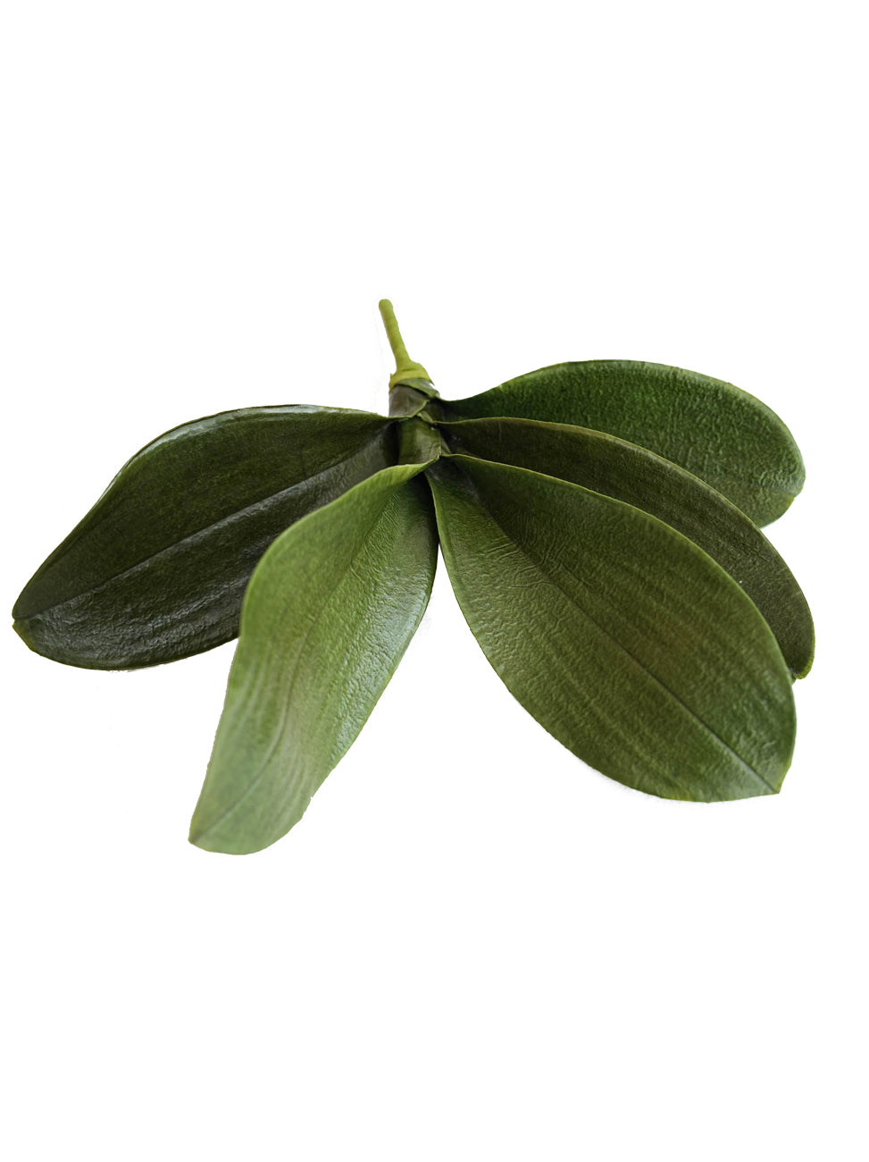Artificial Phalaenopsis Orchid Leaf Plant-13"
