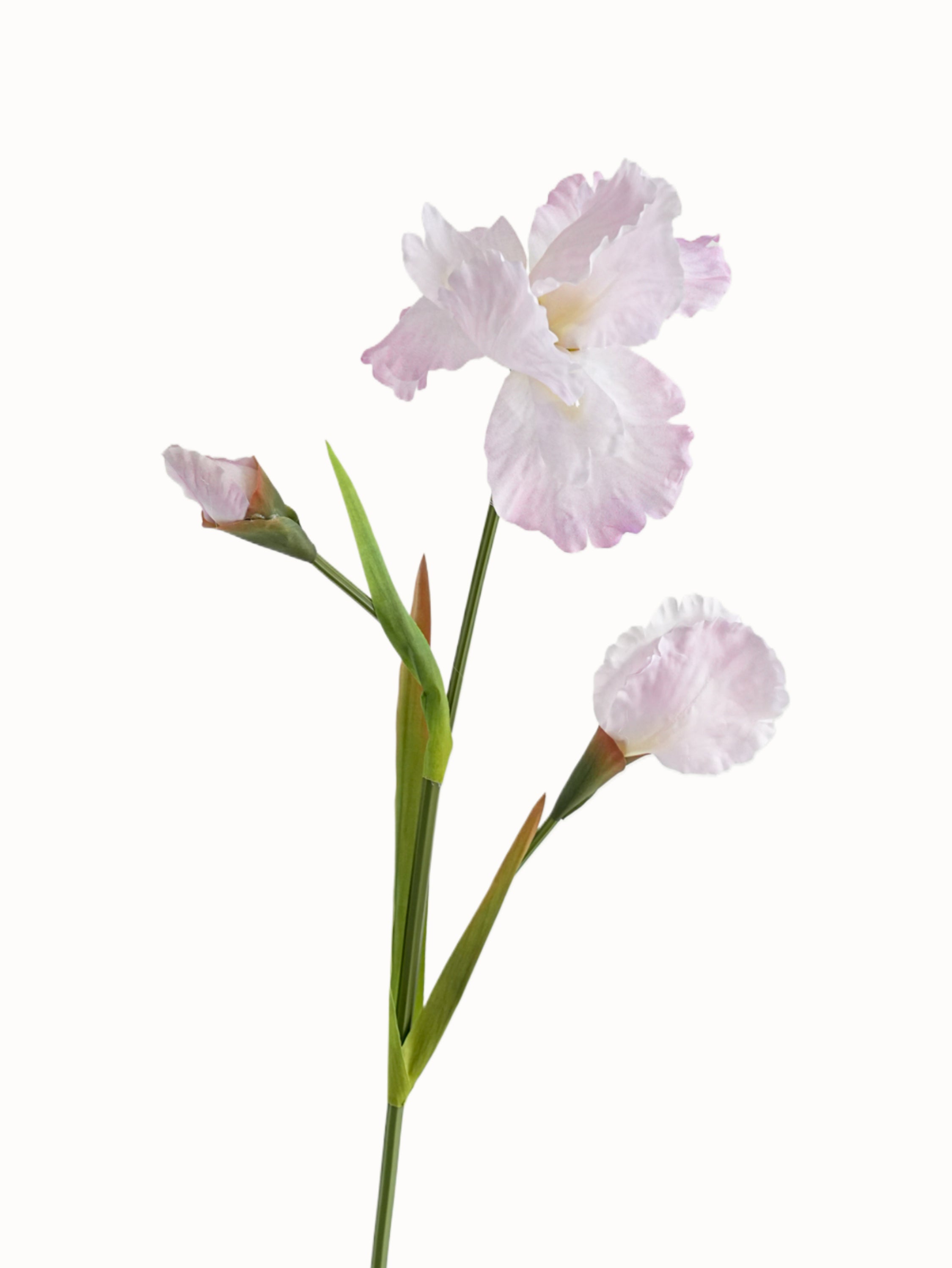 Artificial Iris Flowers of Luxurious Quality-31.1"