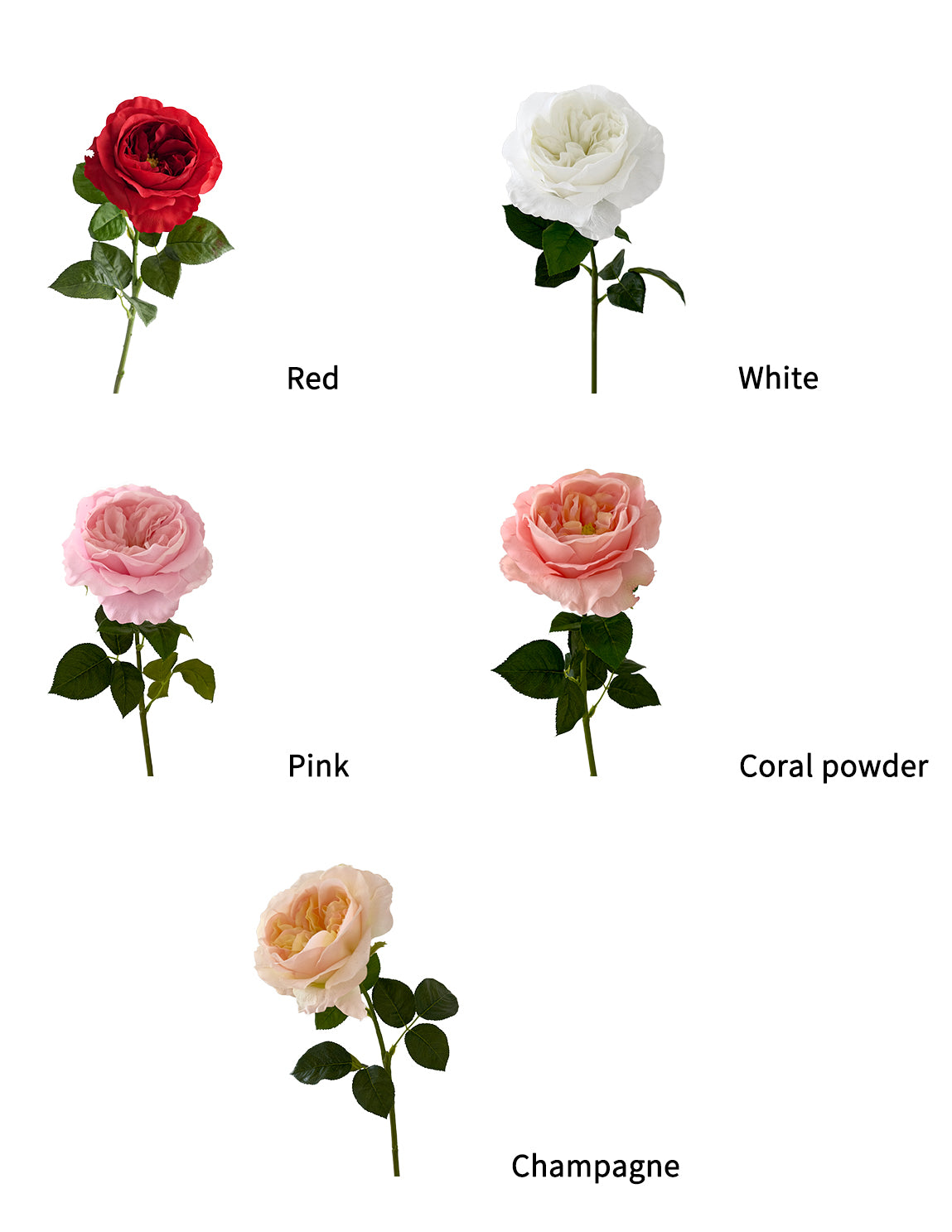 Artificial Austin roses with a realistic touch- 25.9"