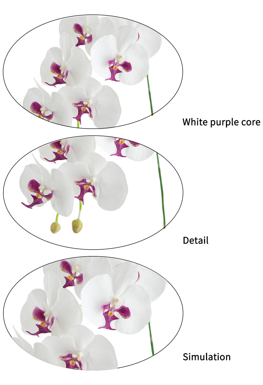 Faux Real Touch Orchids in White -41.3"