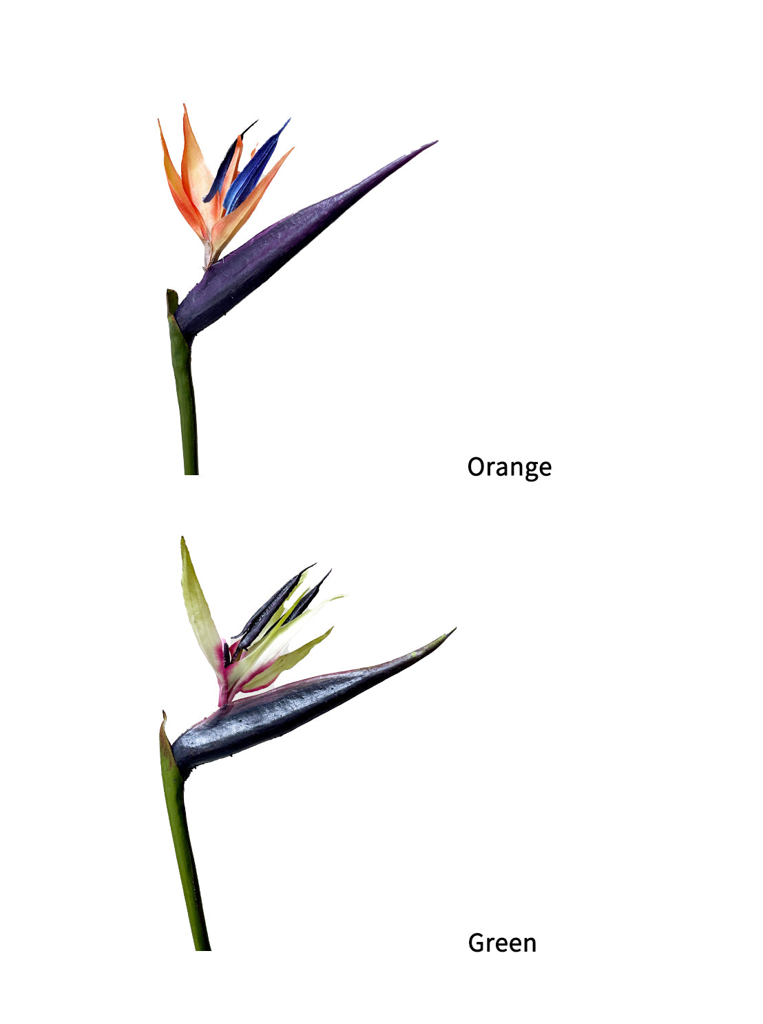 High-end Artificial Birds of Paradise Flowers -34.2"