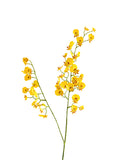Artificial Dancing Orchids in Yellow-31.5"