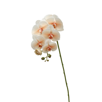 Real-Touch Faux Phalaenopsis Orchid Spray - 37.4"