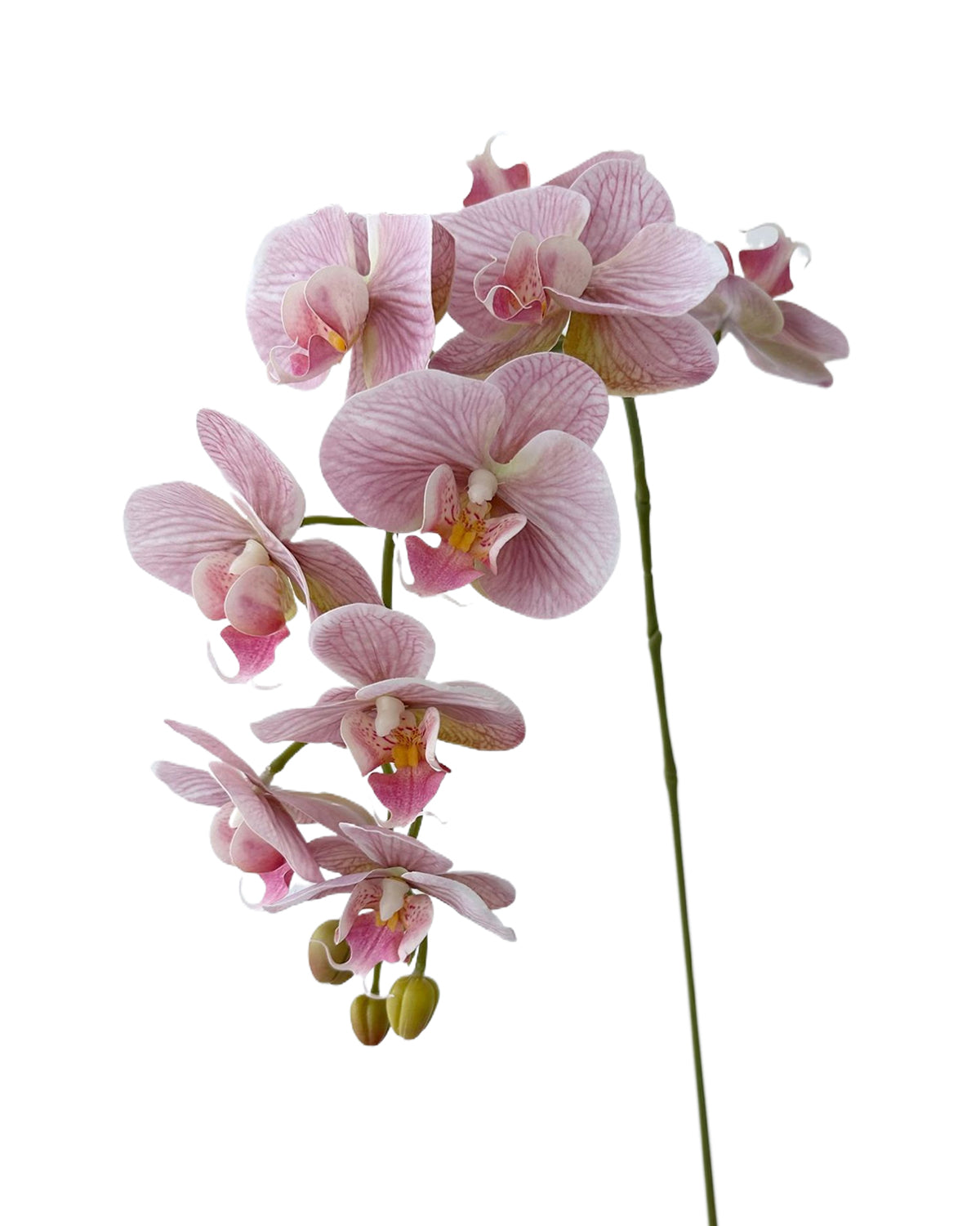 Blooming Artificial Phalaenopsis Orchids-38"