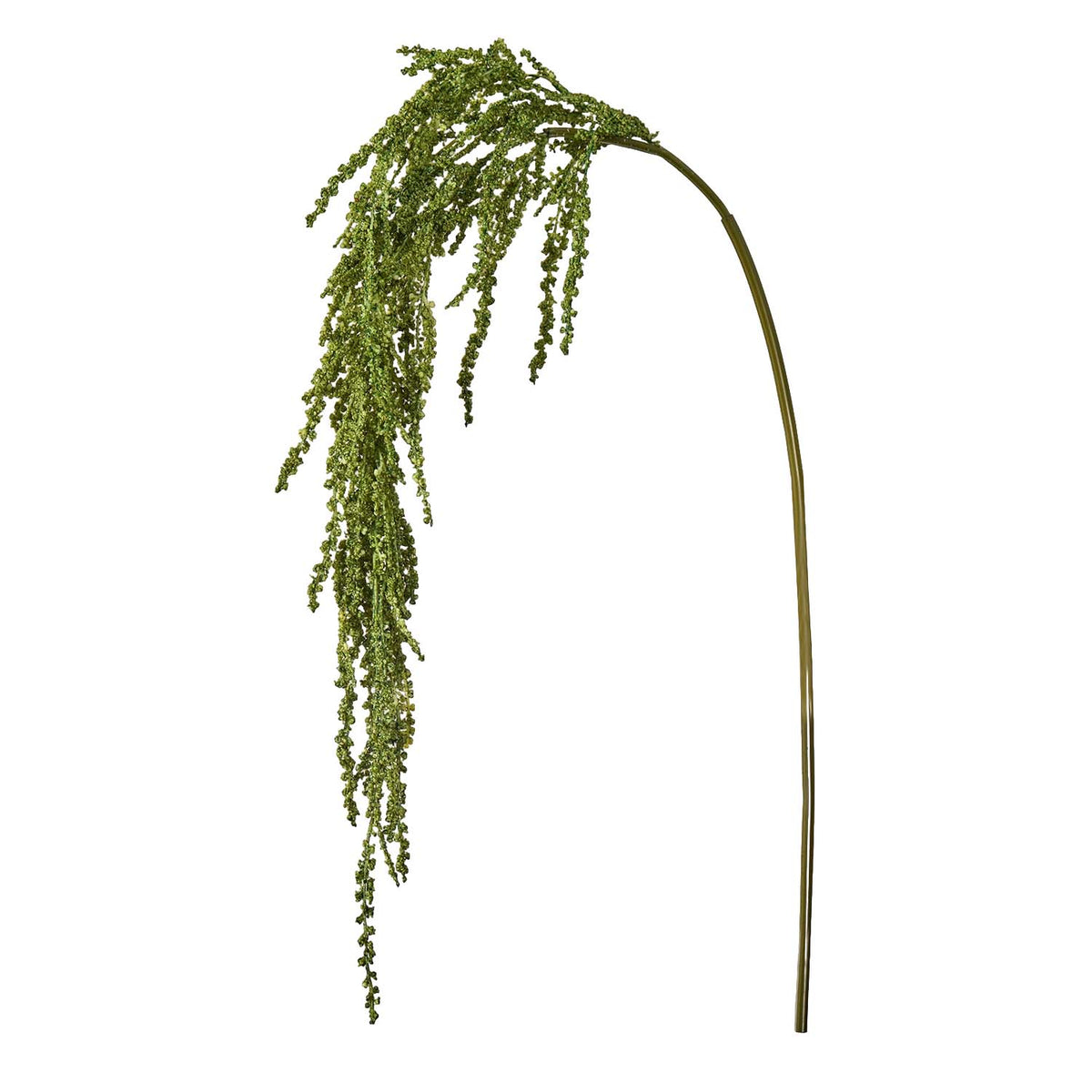 Artificial Love-lies-bleeding, Tassel Amaranth  45.3"