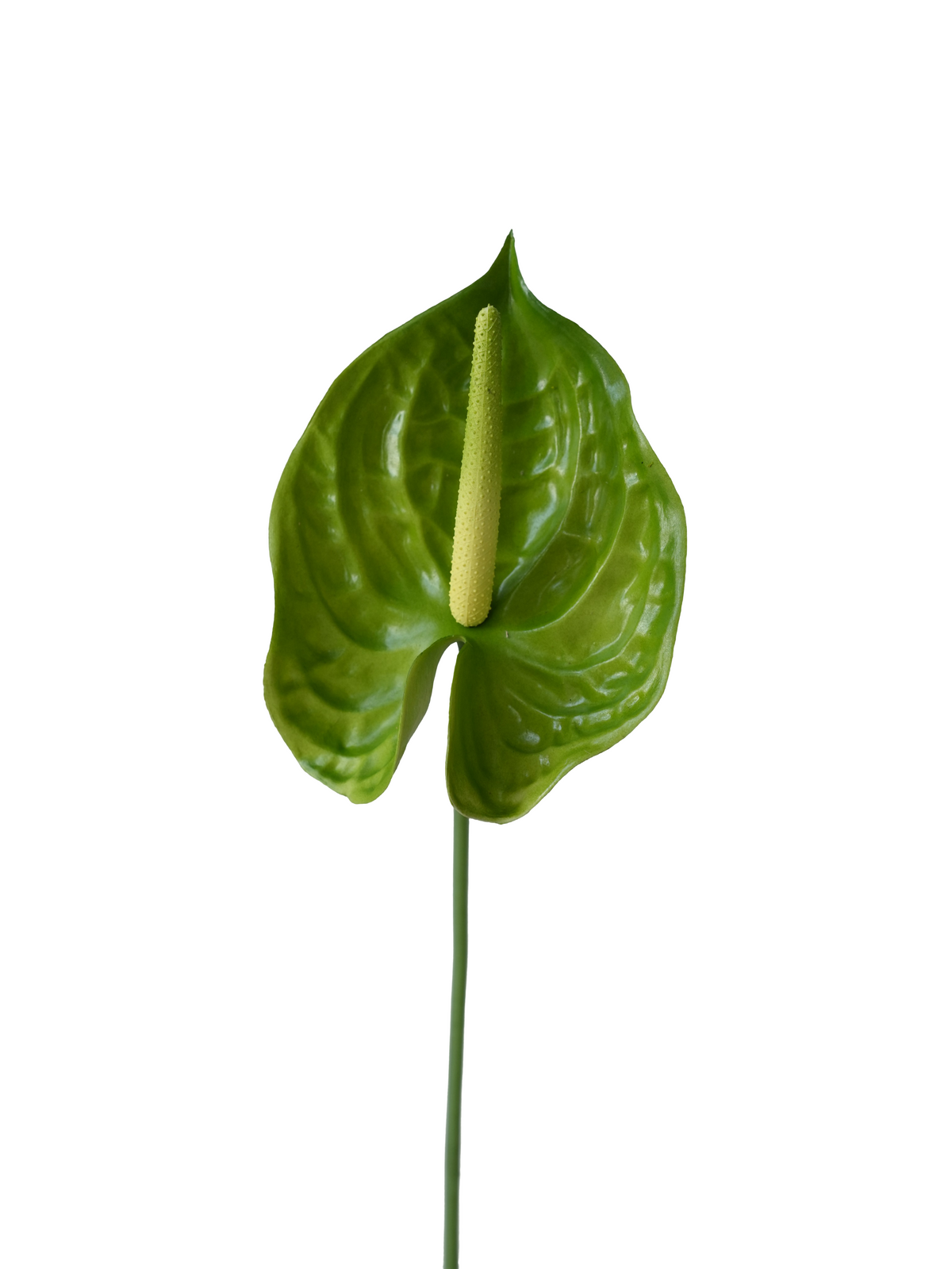Green Rubber Feel Artificial Anthurium Flamingo Flower, 27"