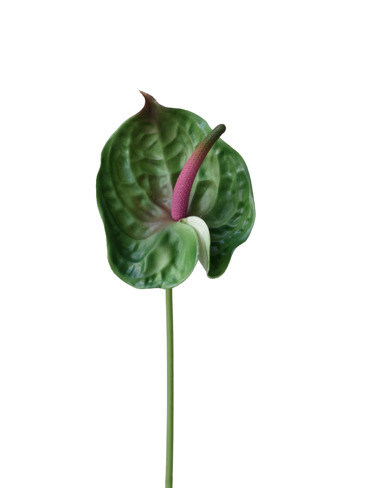 Green-Pink Rubber-Feel Artificial Anthurium Flamingo Flower 27"